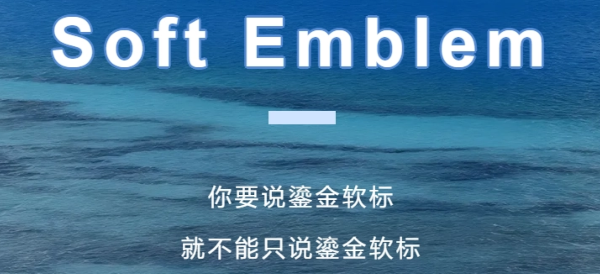 你要说鎏金软标，就不能只说鎏金软标
